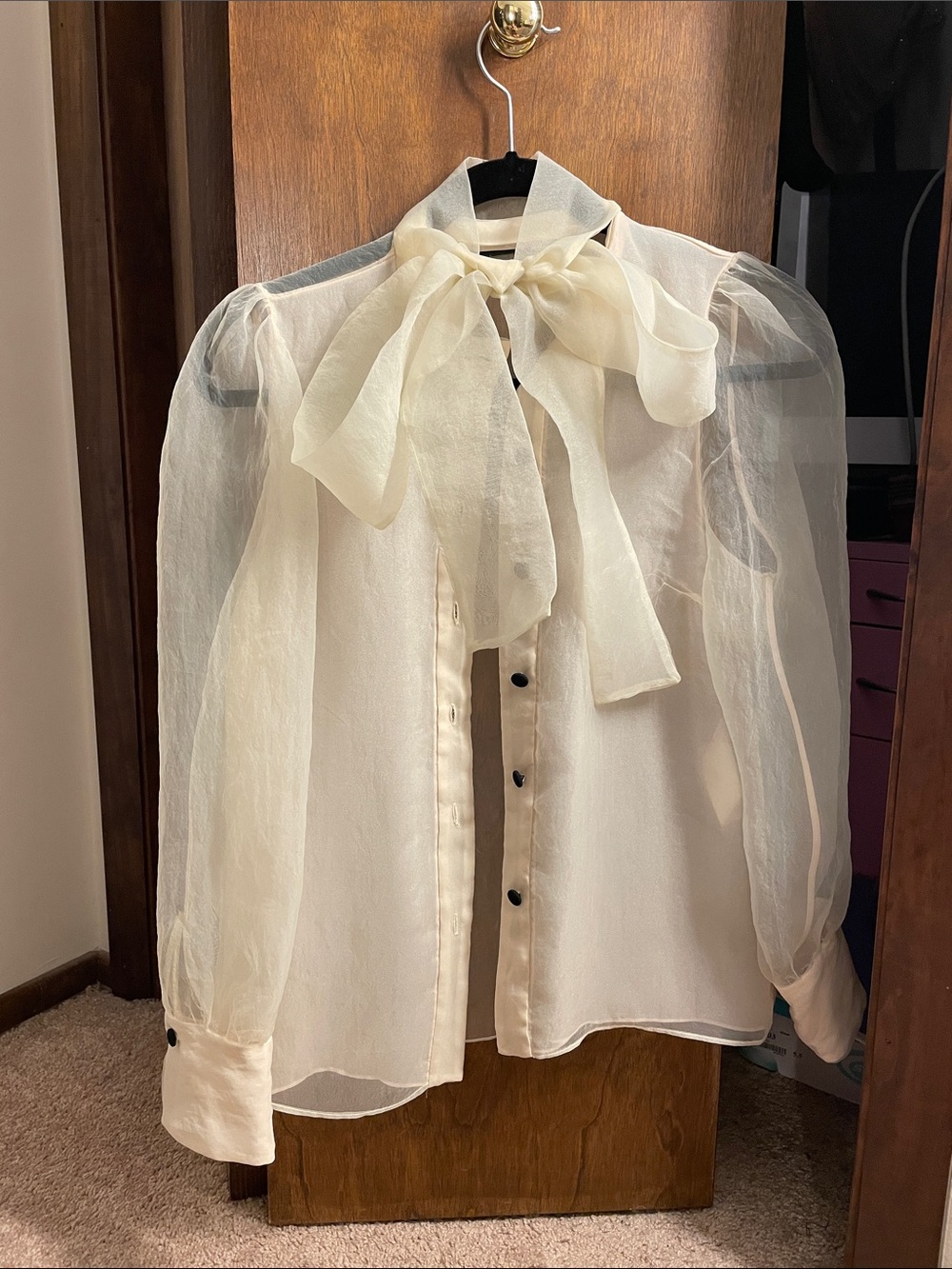 Zara Sheer Bow Tie Blouse in Ivory